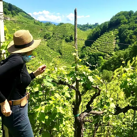 Hotel Abbazia Relais & Chateaux 5*